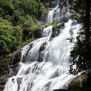 Parque Natural Braço Esquerdo - 14/03/2026